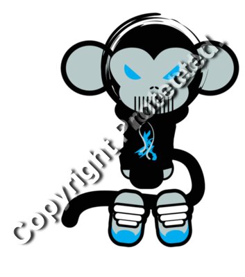 monkey 1