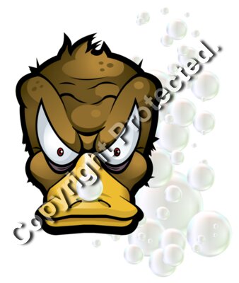 angry duck