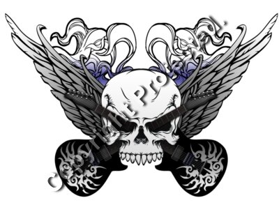 skullguitars
