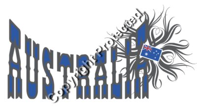 design wings 1 back
