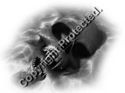 Sand_skull