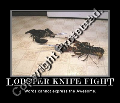 lobster
