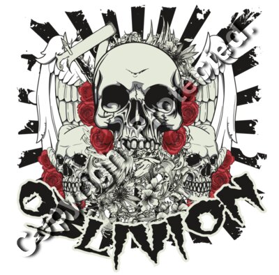 skull roses